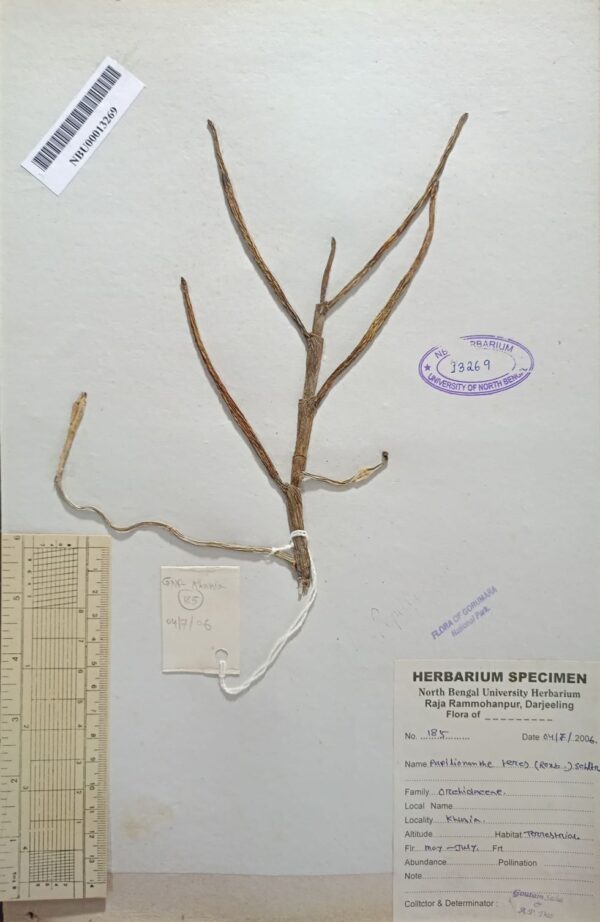 DocScanner 8 Apr 2026 1-25 pm